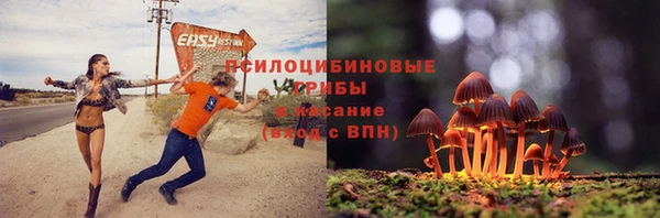 мдпв Бугульма