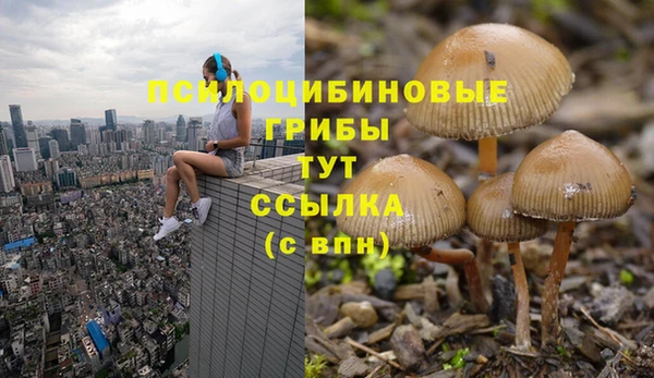 мдпв Бугульма