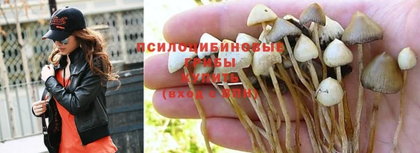 синтетический гашиш Бородино